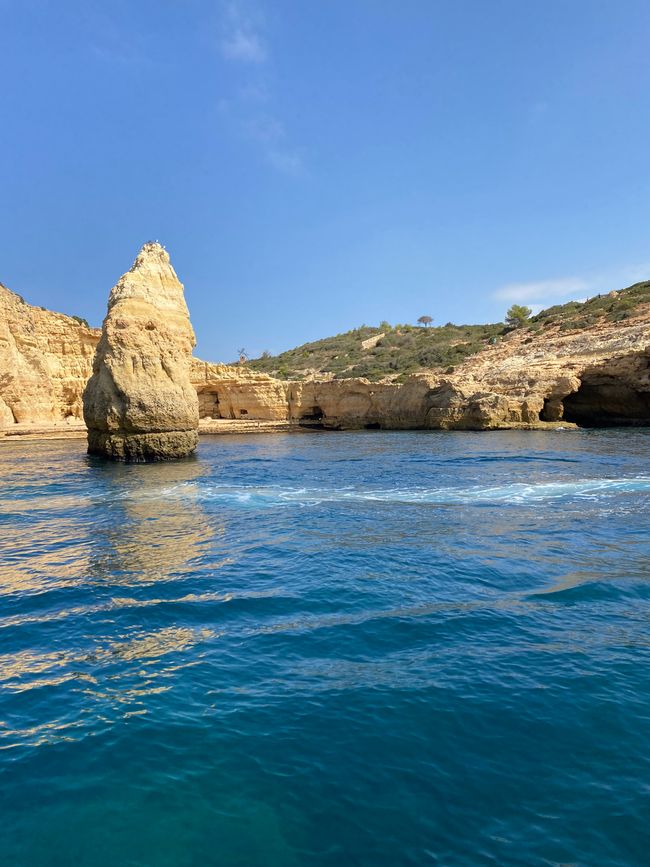 Delphinsuche und Höhle von Benagil
