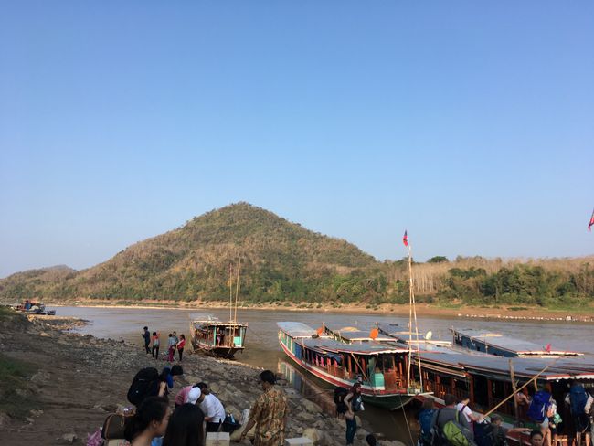 Iewers in die oerwoud op die Mekong