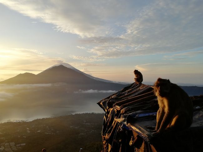 View from Mt Batur to Mt Agung
