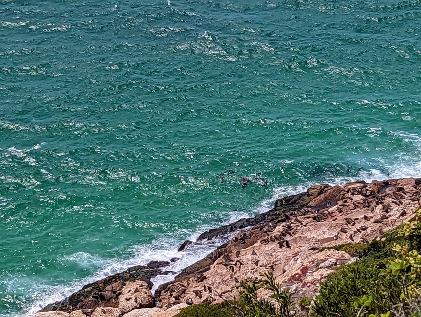Plettenberg Bay/Robberg Nature Reserve