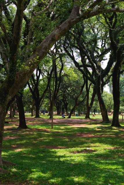 Tag 25: Parque do Ibirapuera
