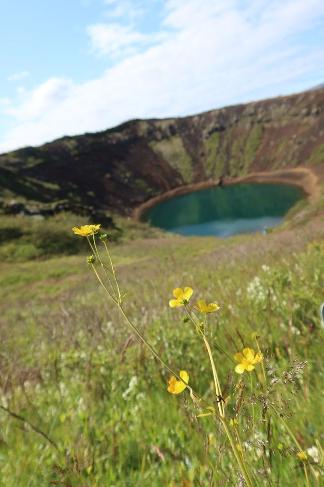 Kerið Crater with Flower