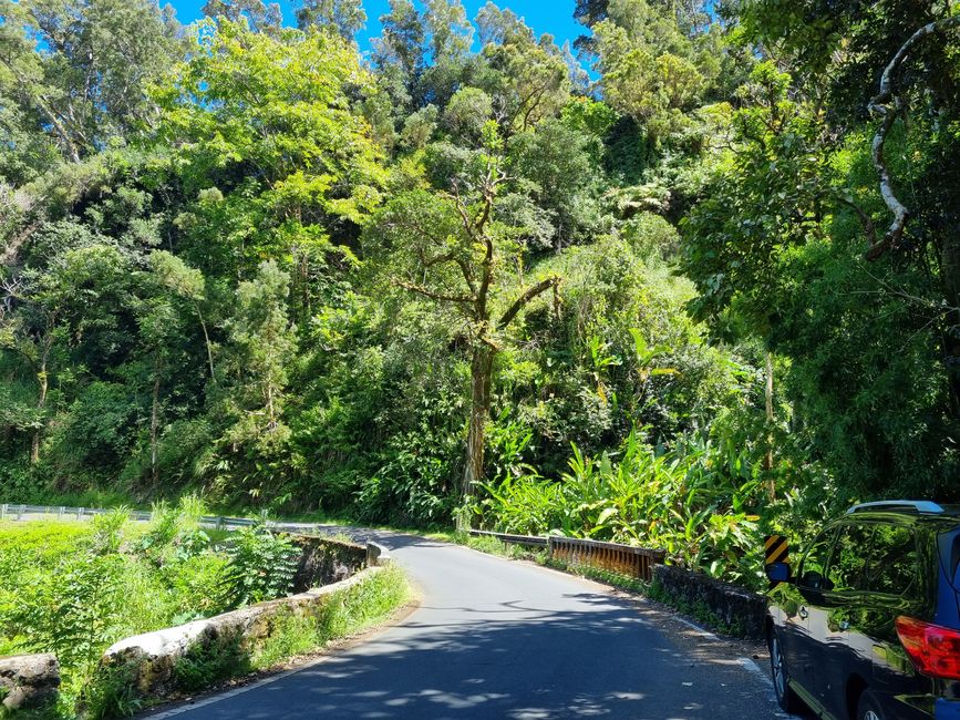 Hawaii 2022 - Part 3: Maui