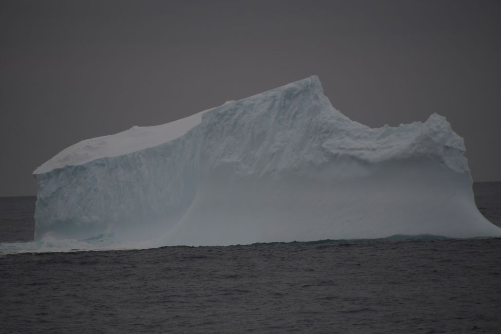 Iceberg