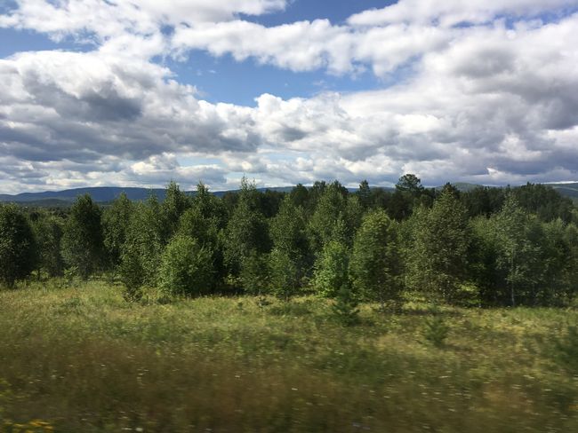 The Ural Mountains, which we crossed at a rather flat spot.