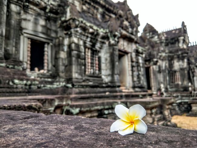 Tempelrun in Siem Reap - Angkor