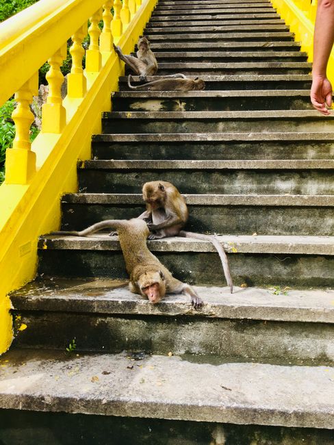 Hua Hin > Prachuap Khiri Khan