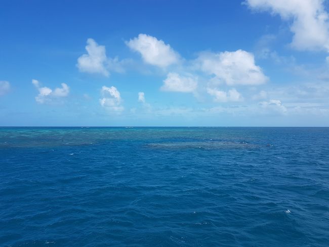Das Tor zum Great Barrier Reef: Cairns