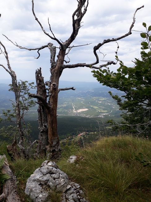 KROATIEN Hike Poklon <> Vojak (Ucka Mountains)