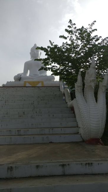 White Buddha Pai