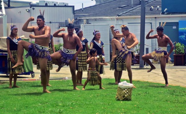 Māoris führen den Haka auf
