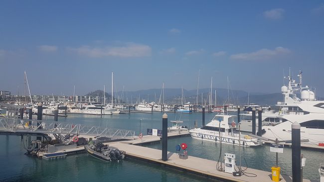 The harbor in Airlie Beach. 