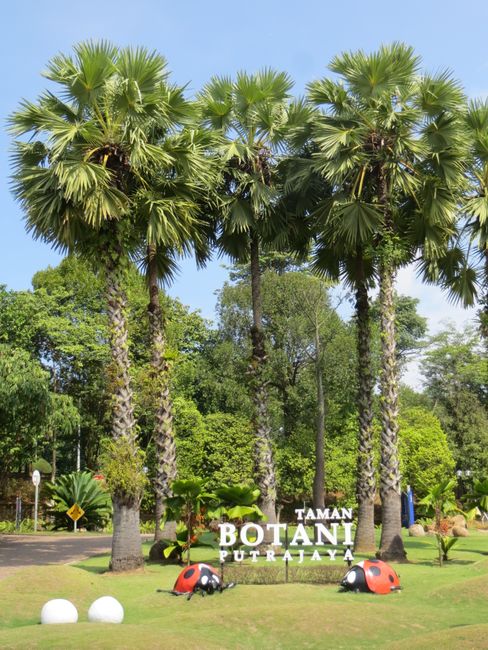 Architecture in the Botanical Garden