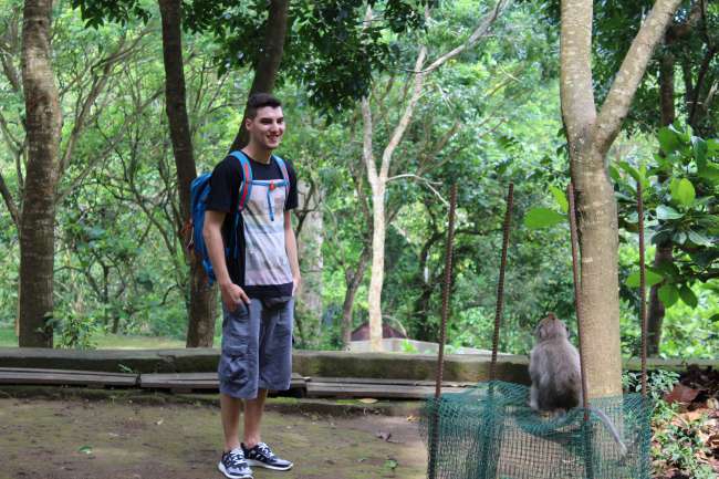Tag 5: Monkey Forest Ubud
