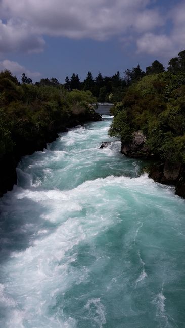 Kerosene Creek and Waikato River