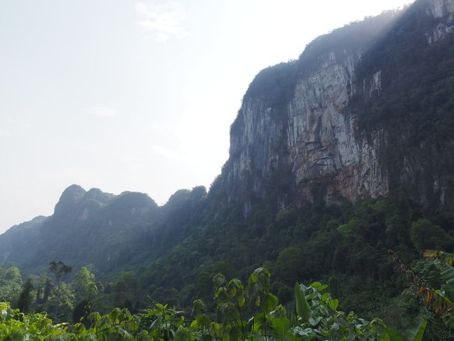 Phong Nha-Kẻ Bàng Nationalpark