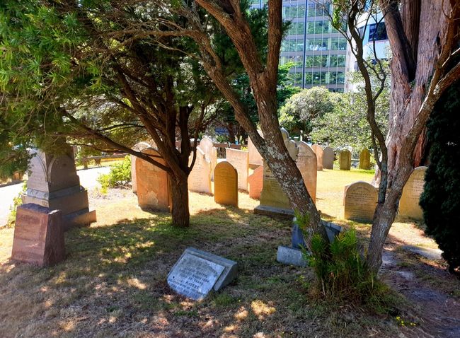 Friedhof durch einen Park in der Innenstadt von Wellington 