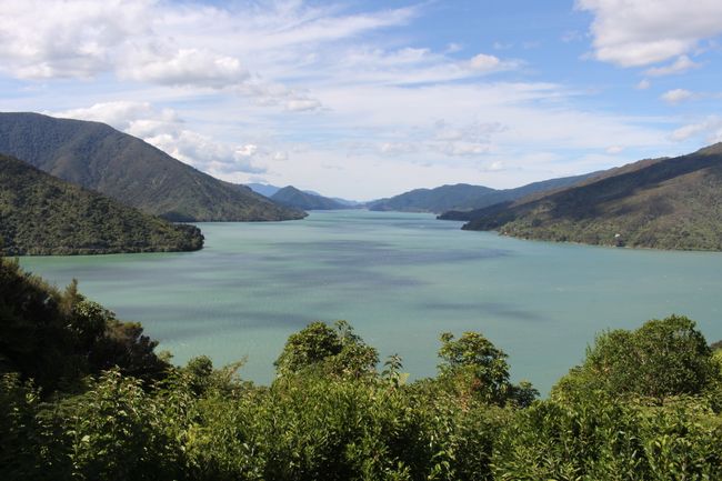 Queen Charlotte Drive (View from this road along the fjords of the Marlborough Sounds