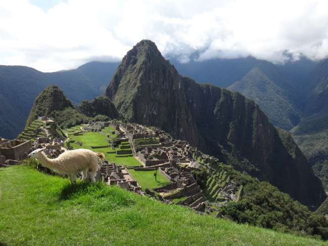 Sihirli Machu Picchu