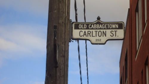 Cabbage Town Tag 5
