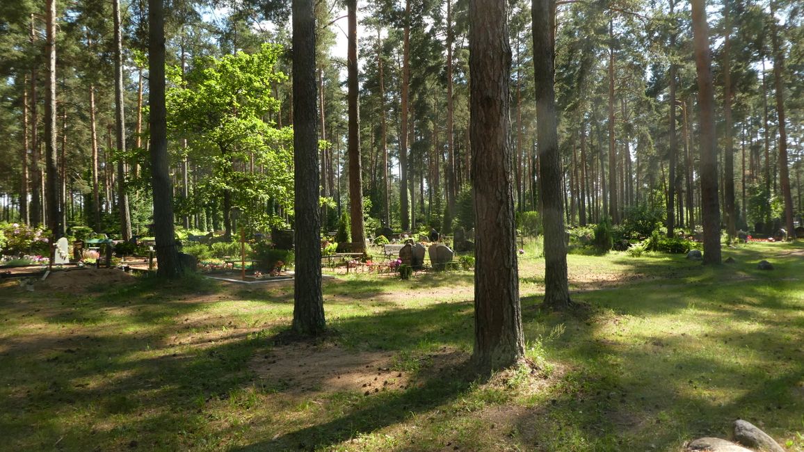 In the forests of Latvia