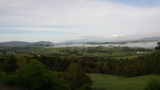 Between Auckland and Paihia