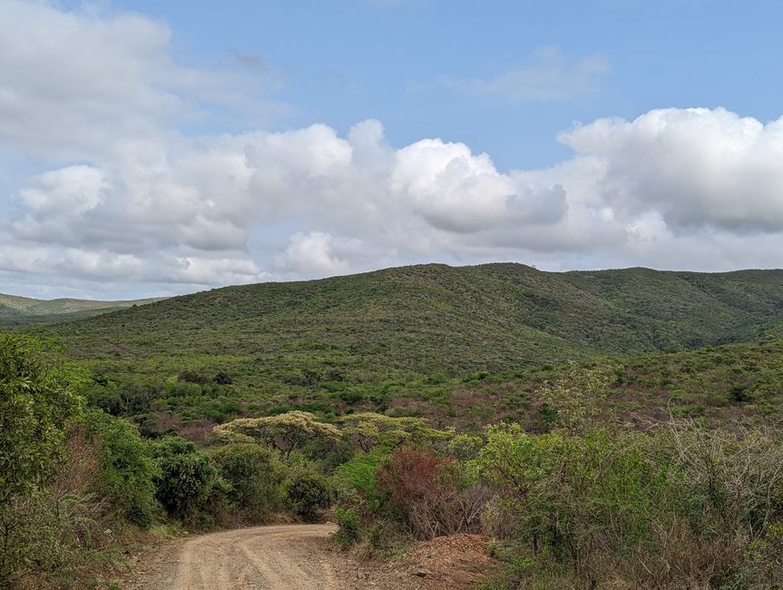 Hluhluwe-Imfolozi-Nationalparks
