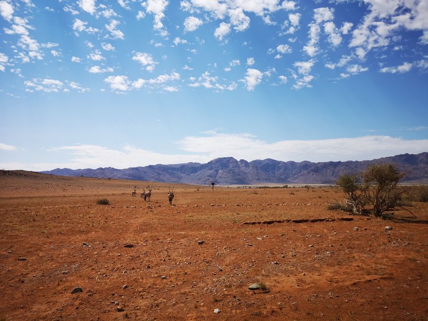 NamibRand Nature Reserve and D707