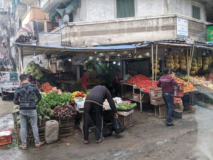 Detour through the neighborhoods of Alexandria: vegetables