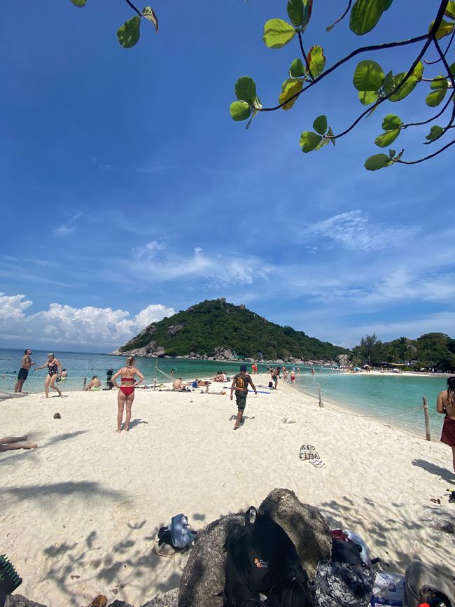 14.01.2023 - Elephants in Hua Hin and Diving in Koh Tao