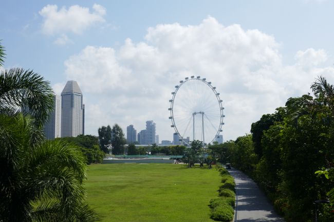 Blick auf das Riesenrad „Singapore Flyer“ von den Gärten aus