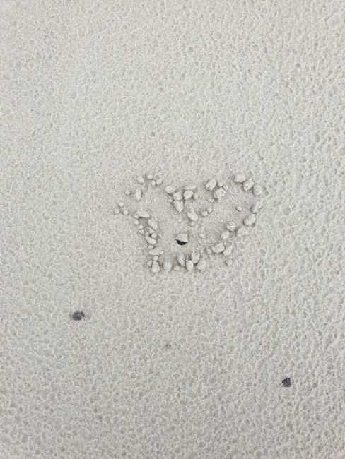 Imaginative results of crabs digging holes in the sand (Heart)