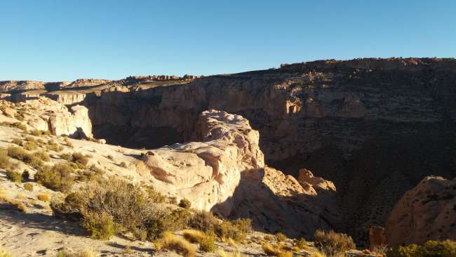 Snake Canyon  (schlangenkopf)