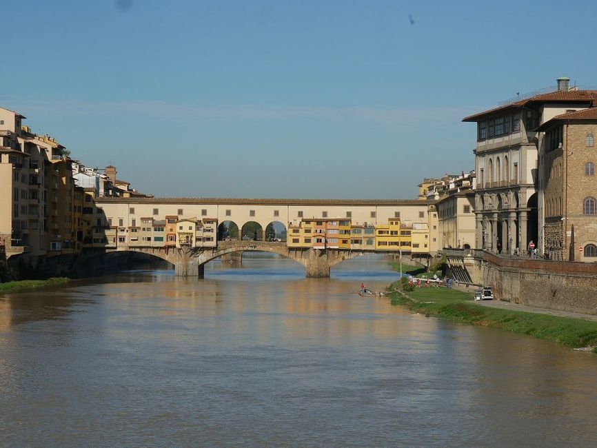 08.10.2020-Florence, you beautiful city of lizards