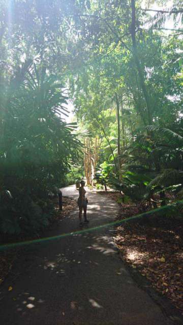 In the Botanic Gardens