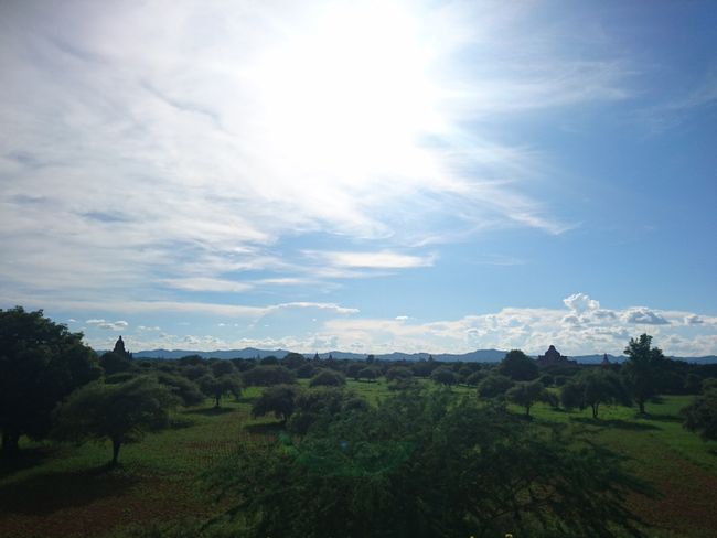Ruinenfeld Bagan 