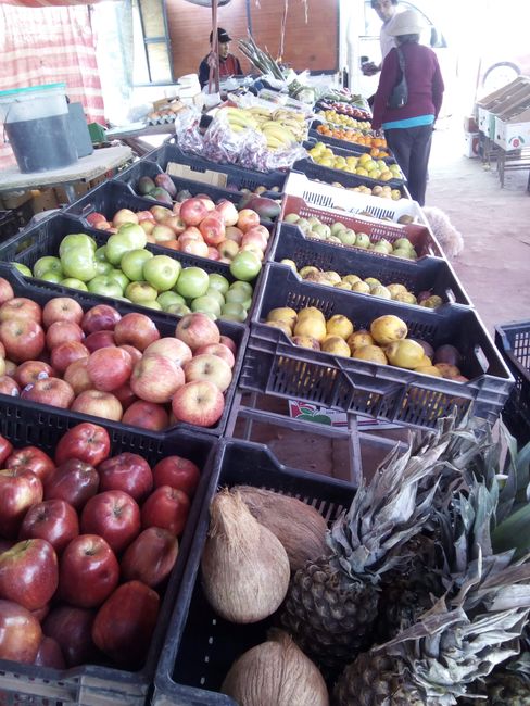 der Früchtemarkt