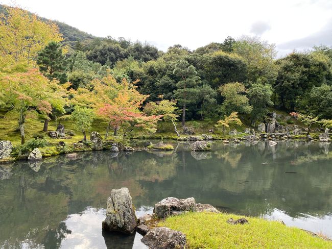 Garten des Tenryuji-Tempels