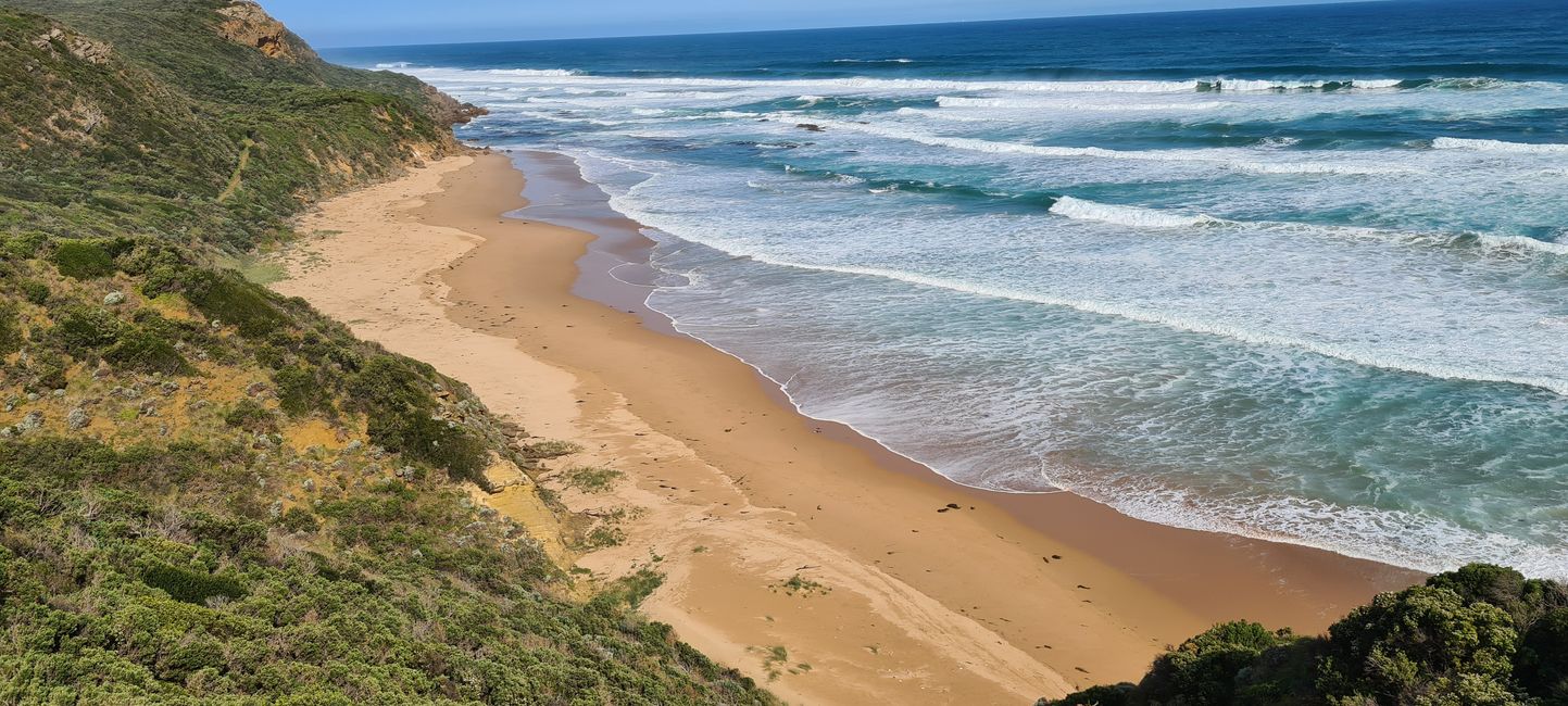 Día 9 - 18.09.23 - Great Ocean Road