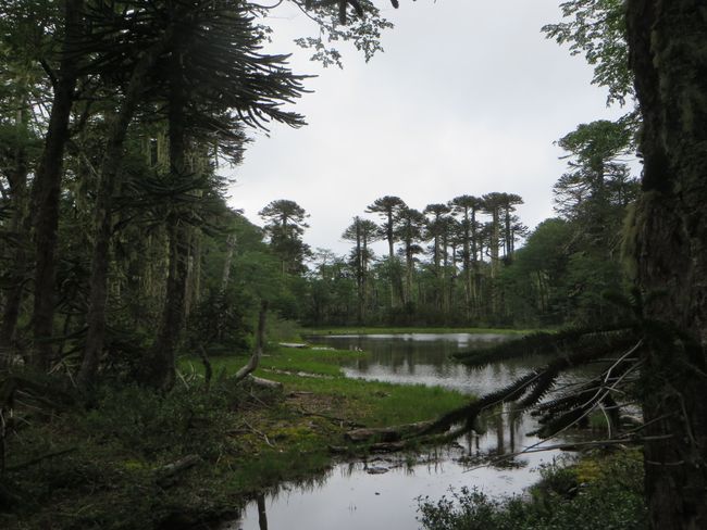 'Région des Lacs' - le sud de l'Allemagne au Chili