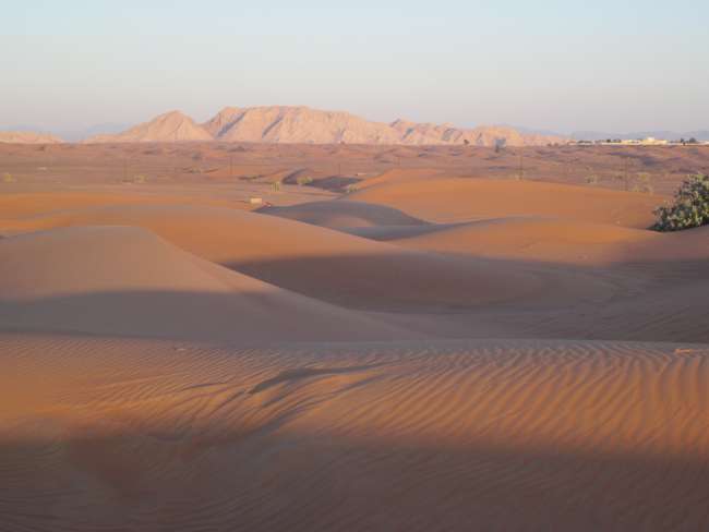 Desert Safari