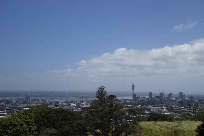 Skyline of Auckland
