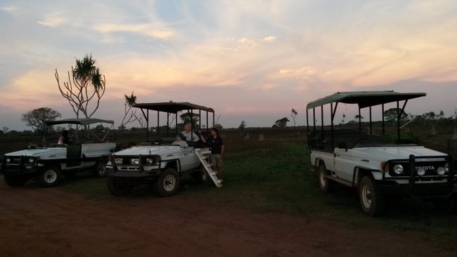 The safari vehicles used to transport the guests