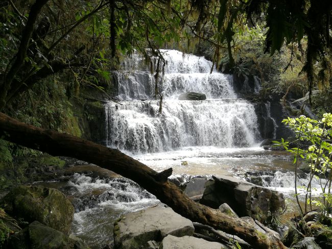 Purakanui Falls 