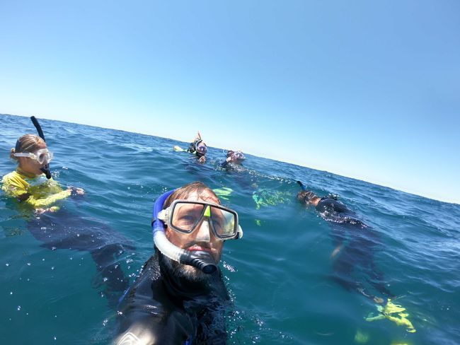 Day 27: Exmouth (Swimming with Whales)