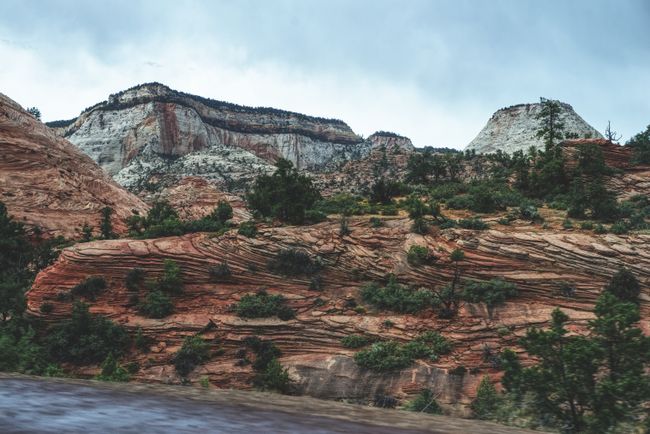 Day 247: Zion National Park