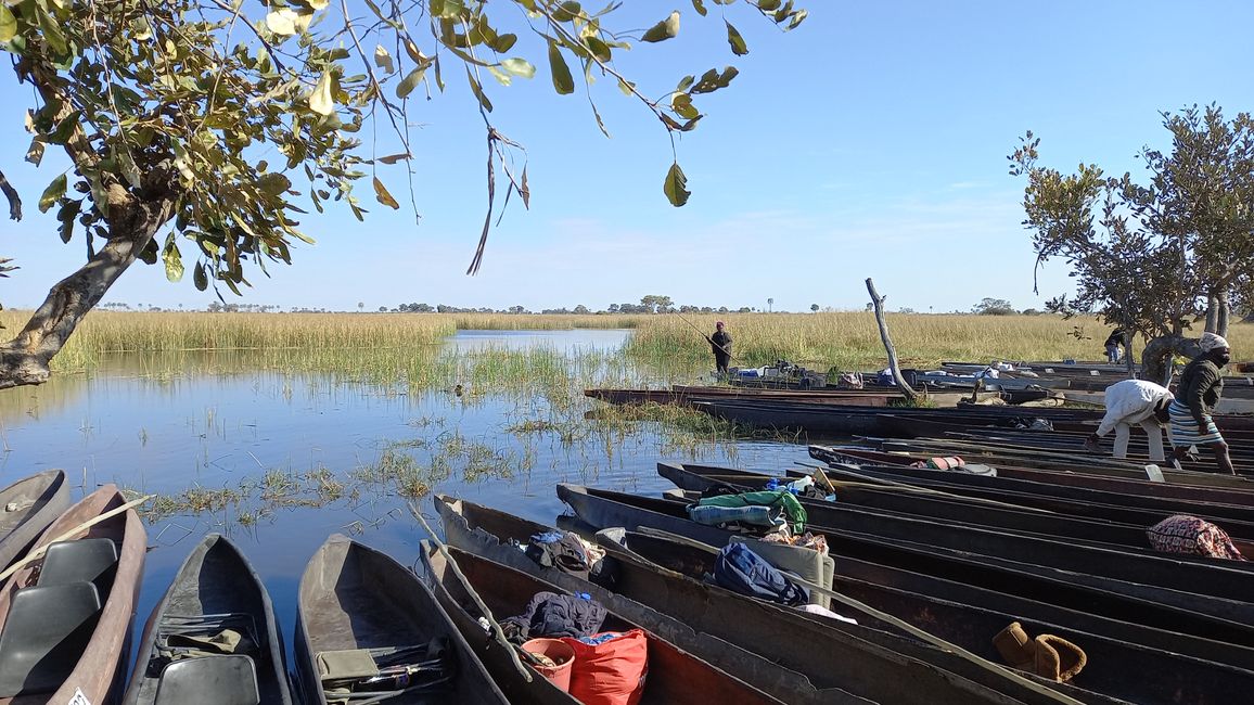 Iz delte Okavanga