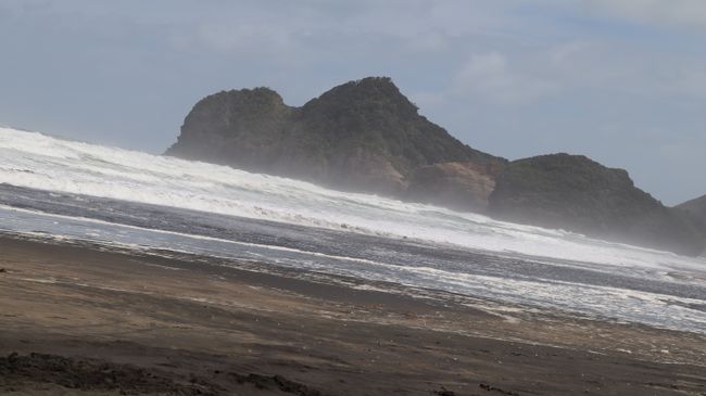 Day 7 Bethells Beach and Auckland
