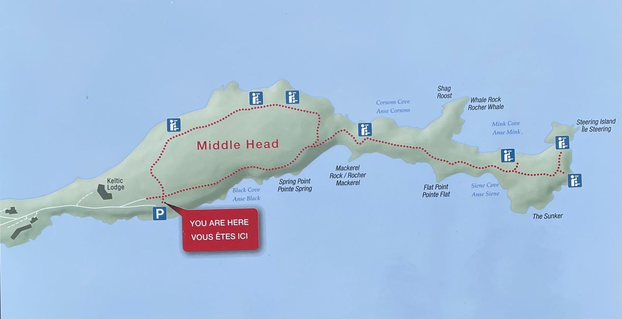 Middle head