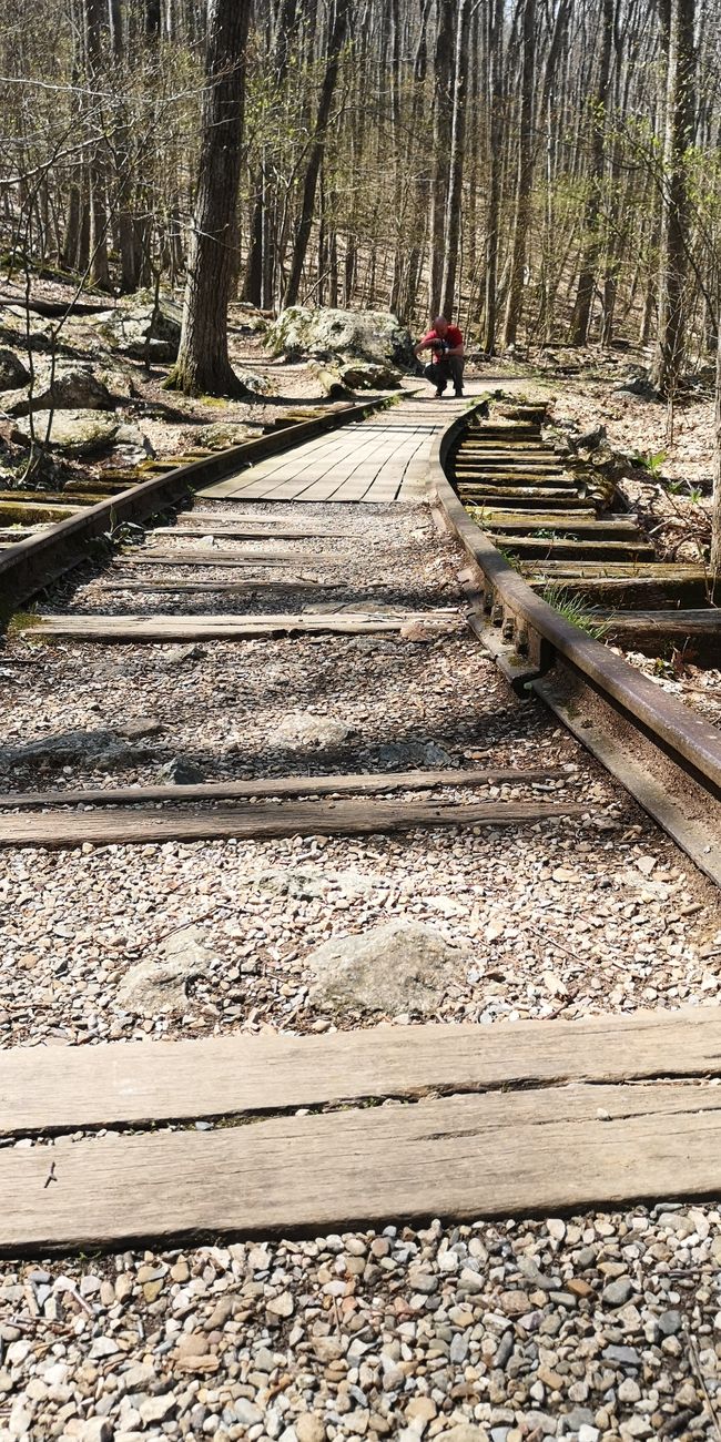 Yankee Horse (reconstructed railway tracks)